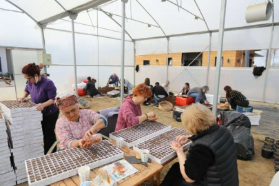 Gönüllü kadınların ektiği tohumlar, deprem bölgesinde filizlenecek