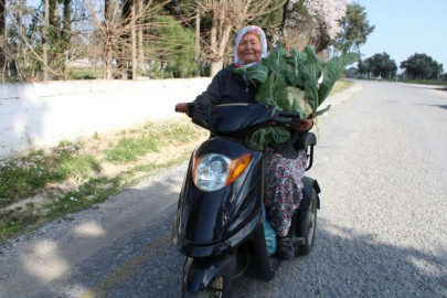 73 yaşında motoruyla tarlasında