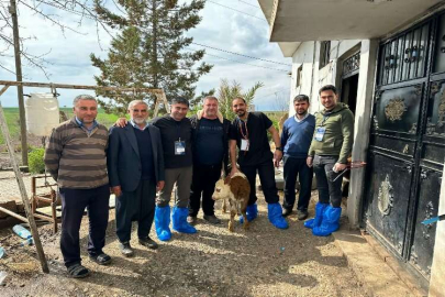 DEÜ'lü uzmanlar deprem bölgesinde şap virüsü uyarısı yaptı