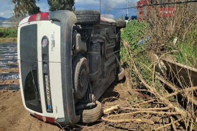 Aydın'da ticari bir araç tarlaya uçtu