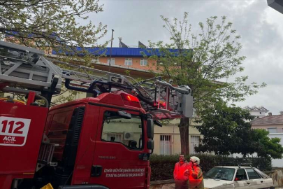 Bayındır'da ağaçta mahsur kalan kedi kurtarıldı