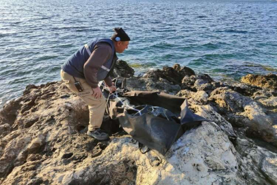 Kuşadası’nda bir koyda erkek cesetleri bulundu