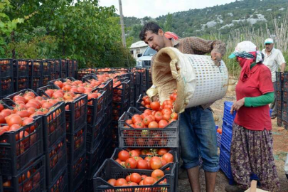 Çiftçi-Sen’den 17 Nisan mesajı 