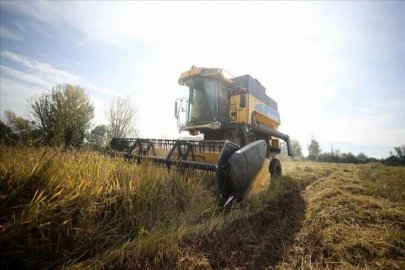 Bakan Kirişci müjdeyi verdi! Çiftçilere tarımsal sulama desteği