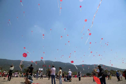 Menderes’in uçurtma şenliği bu sene Samandağ'da