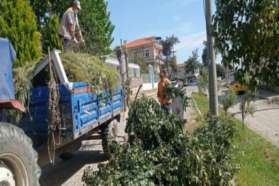 Ayvalık'ta sezon öncesi detaylı temizlik