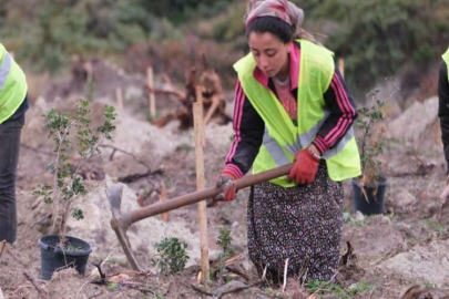 Altın  damlayan sakız, kadınların cebinde birikecek