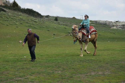 Frigya'nın maskotu deve turistlerin ilgi odağı