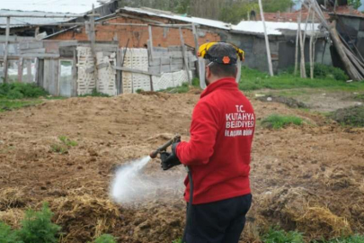 Kütahya'da ilaçlama çalışmaları başladı