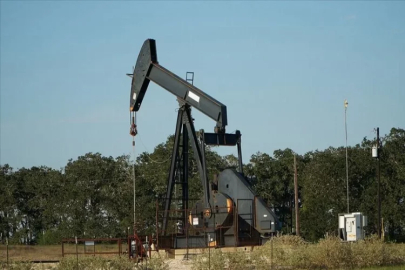 Petrol İhraç Eden Ülkeler Örgütü öngörüsünü değiştirmedi