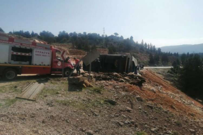 Mersin'de tır kazası: Onlarca hayvan telef oldu