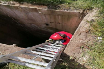 İtfaiye ekipleri kuyudaki koyunları kurtardı