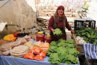 Aydın'da asma yapraklarının sezonu başladı