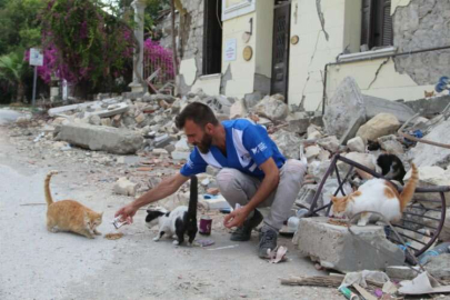 Hatay'da unutulan 10 bin can dostu yardım bekliyor