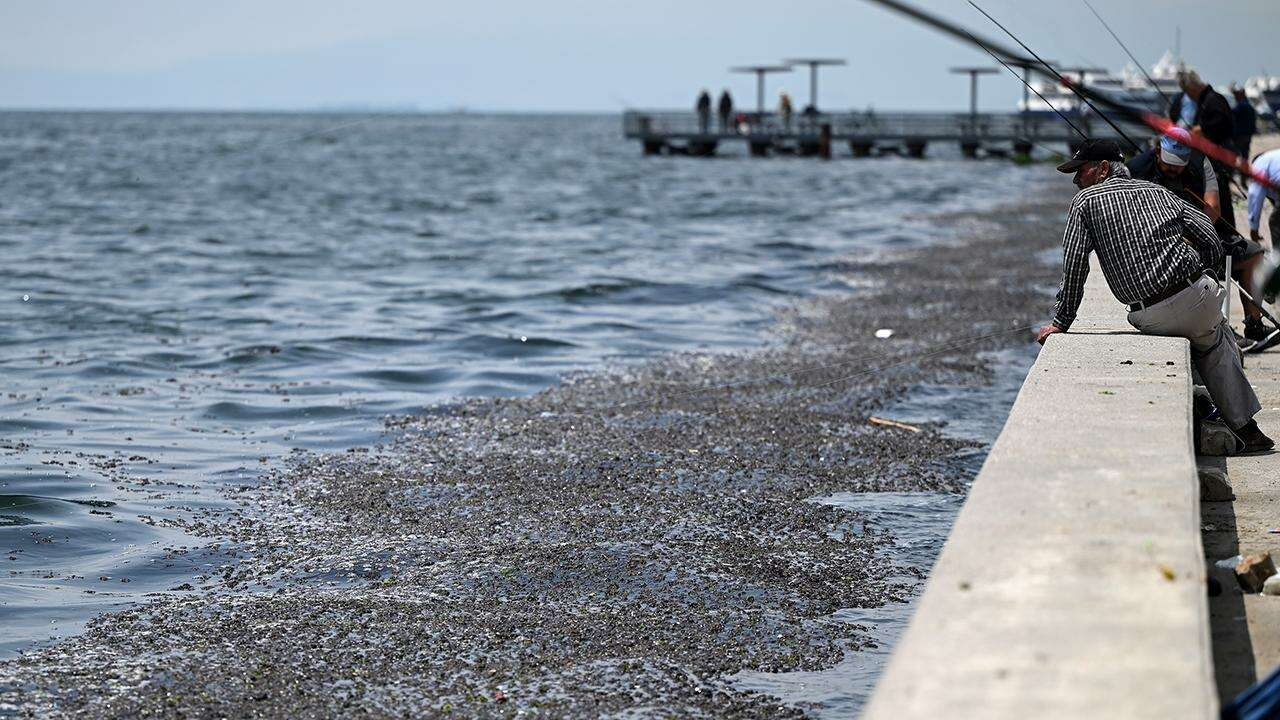 İzmir Körfezi 2