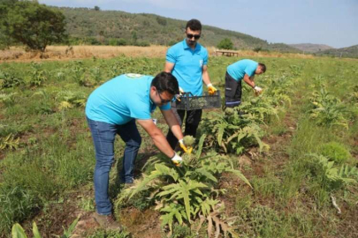 Bodrum’da tarımsal kalkınma çalışmaları sürüyor