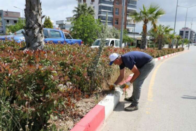 İzmir Menderes’te yeşil alan bakımı