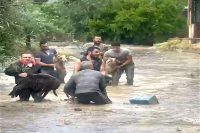 Denizli'de sel suları önüne kattığını götürdü