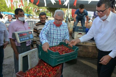 Yaylalarda erik ve kiraz hasadı başladı