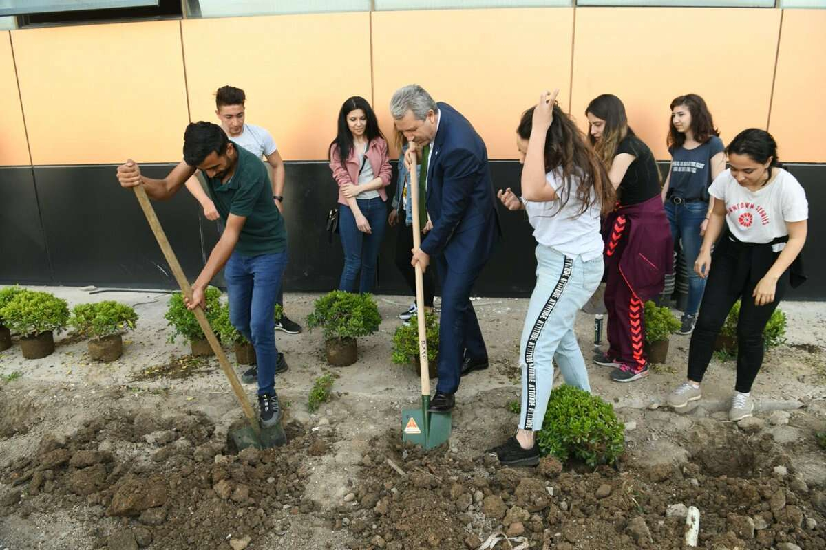 necdet budak