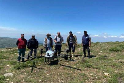 Tarla çekirgelerine dron ile savaş açtılar