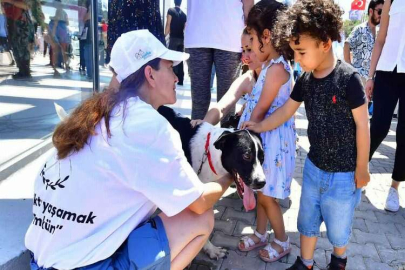 İzmirliler PAKOFEST’te patili dostlarla buluştu