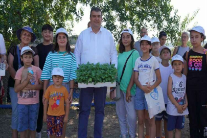 Seferihisar'da tarımın yeni yıldızı: Ekinezya