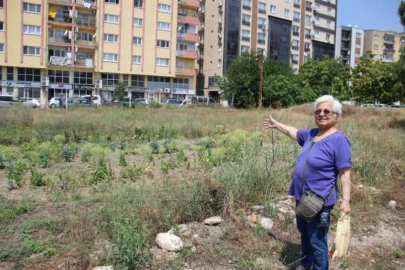 Bina dikilmesini bekledikleri yere marul fidanı diktiler