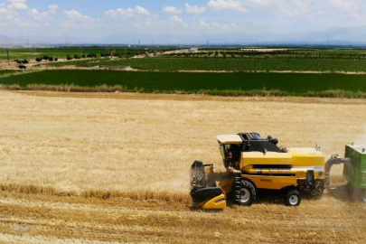 Malatya’nın ‘Çukurovası’nda hububat bolluğu