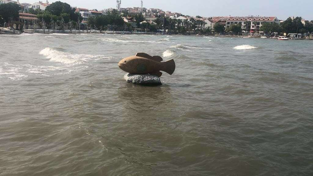 muğla'da lodos