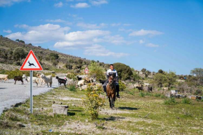 İzmir'de üreticiye büyük destek! Gençler doğaya dönüyor