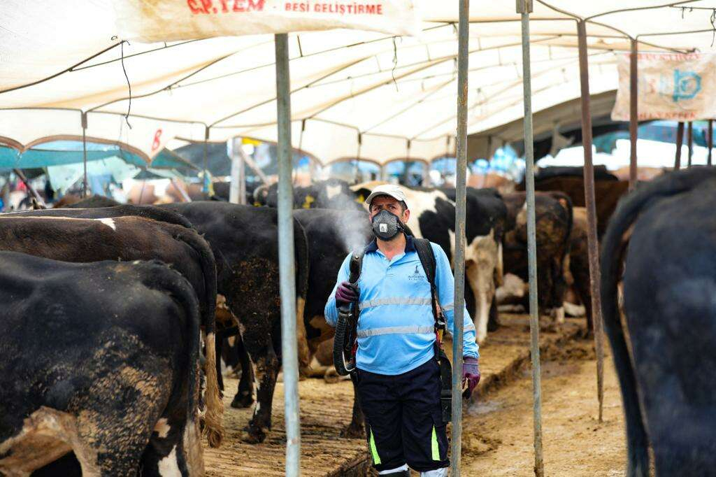 bayraklı belediyesi kurban bayramı hazırlıkları