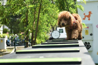 Kemalpaşa Belediyesi'nden can dostlarımıza Pati Park