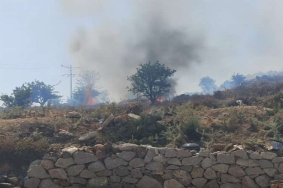 Muğla'daki yangına havadan ve karadan müdahale