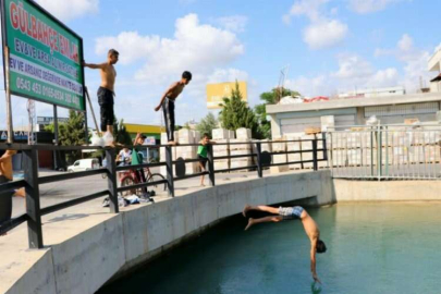 Sıcaklar arttı tehlike başladı! Kanalda yüzüp güneşlendiler