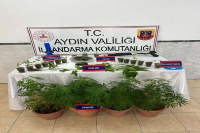 Aydın'da saksılarda uyuşturucu ticareti