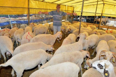 İzmir'de Kurban Bayramı hazırlıkları tamamlandı