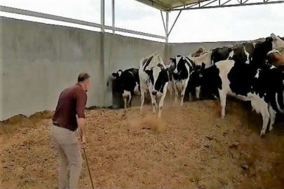 Denizli'de bakıcı dehşeti! Vurgun yapacaktı