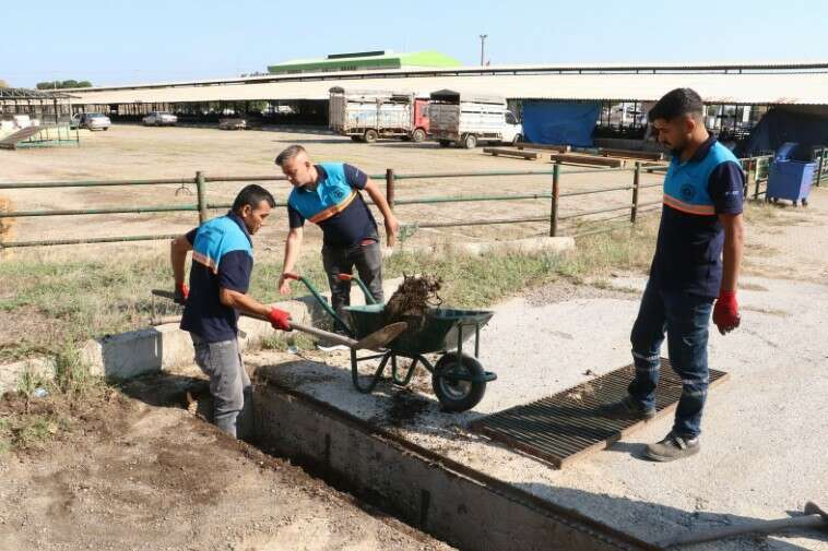 Manisa Su ve Kanalizasyon İdaresi (MASKİ) Genel Müdürlüğü, Kurban Bayramı süresince vatandaşların oluşabilecek olumsuz durumlardan etkilenmemesi için kurban kesim noktalarında temizlik çalışması gerçekleştirdi. Kanalizasyon Dairesi Başkanlığı ekiplerince il genelinde mazgalların ve kanalların iç temizliği yapılırken, kireçleme çalışması da yapıldı. Ekipler, kurban kesimlerinde kanallarda taşma meydana gelmemesi için nöbette olacak. MASKİ’nin çalışması ile kesim alanları hijyenik bir ortama kavuşturuldu.