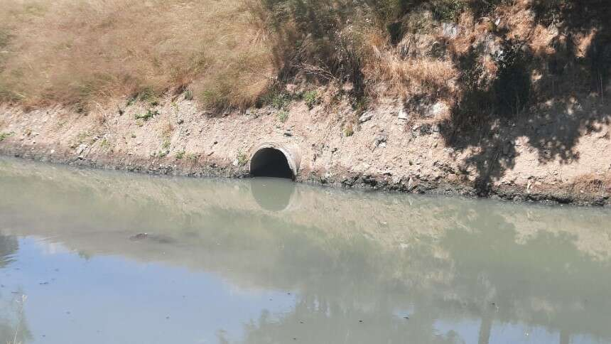 Çetintaş, en az Haliç’in temizliği kadar önemli bir başka soruna daha dikkat çekti. İstanbul Boğazı’na bırakılan kanalizasyon sularının çevreye verdiği zararı anlatan Çetintaş, “Yıllardır bu kanalizasyon denize akıyor. Biraz ileride plajlar var, insanlar burada denize giriyor. Bu kanalizasyon onların bugünkü şeffaf ve 16 milyon insanı temsil eden belediyeciliğe yakışmayan bir görüntüdür. Haliç’ten daha fena, Haliç zaten biliyordu. Haliç’in kötülüğü biliniyordu ancak bu kadar güzellikler varken hemen burada bunun olması gerçekten akıllara ziyan” diye konuştu.