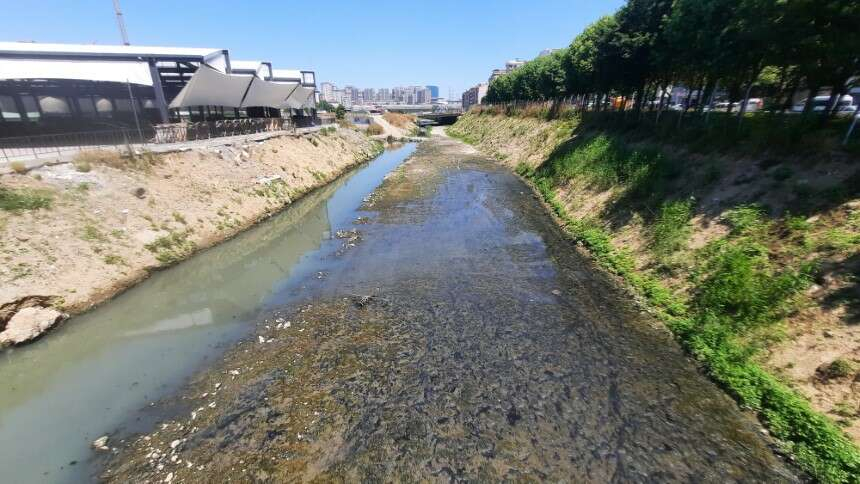 İstanbul’un simgelerinden biri olan ve ‘Altın boynuz’ olarak da anılan Haliç’te suyun renginin kahverengine dönüştüğü görüldü ve özellikle Haliç’e dökülen derelerde kötü kokular yükselmeye başladı. Haliç bu hali ile adeta eski günlerini hatırlattı. Haliç’e su taşıyan kaynaklardan olan Alibey Deresi, su üzerindeki kirliliğin ve etrafa yayılan kötü kokuların net bir biçimde hissedildiği yerlerden biri oldu. Haliç’teki kirliliği ve kokunun artmasını değerlendiren İstanbul Çevre Konseyi Genel Sekreteri Zafer Murat Çetintaş, İBB’nin Haliç’in temizlenmesi konusunda yeterli çalışmayı yapmadığını öne sürdü. Suların sağlıklı bir biçimde temizlenmesini sağlayan temel unsurun biyolojik arıtma olduğunu söyleyen Çetintaş, İSKİ’nin bu çalışmayı yapmadığını iddia etti. Çetintaş, eğer biyolojik arıtma yapılıyorsa İBB’nin bunu belgelerle açıklaması gerektiğini söyledi. Haliç’in suyunun berrak olmama nedenlerinden birinin de Karadeniz’den su pompalanmasındaki sorun olduğunu ifade eden Çetintaş, pompa cihazlarından birini de yerinde inceledi. Çetintaş, cihazın yeterli düzeyde çalışmadığını söyleyerek, bu sebeple Haliç’e temiz su verilemediği ve oksijen miktarının azaldığını belirtti.