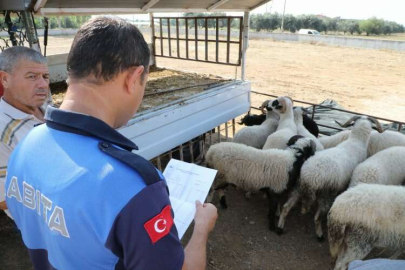 Bayrama sayılı günler kala Menderes’te Kurban denetimi