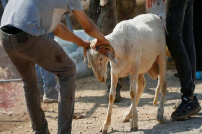 Kurban nasıl kesilir? Hangi dualar okunur? Kimler kesebilir?