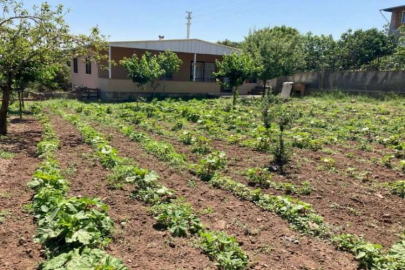 Bornova Belediyesi’nden çiftçiye tam destek