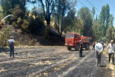 Denizli'de anız yangını meydana geldi