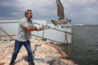 Karşıyaka Belediyesi'nden yüzlerce martıya yardım eli