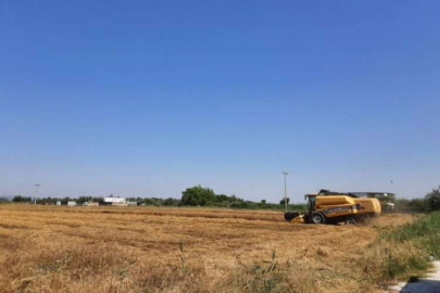 Torbalı'da buğday hasadı tamamladı