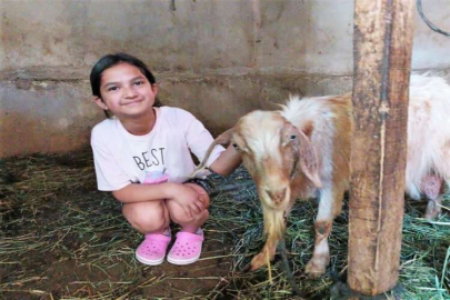 Kaçan kurbanlık keçi, günler sonra bulundu