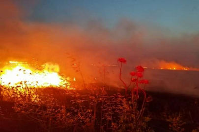 Gönen'de anız yangını: 60 dönüm yer kül oldu