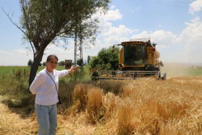 Afyonkarahisar'da hububat hasadı başladı